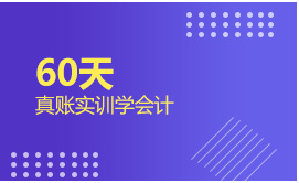 60天真賬實訓(xùn)學(xué)會計