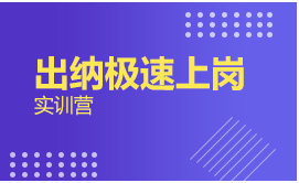 出納極速上崗實訓(xùn)營