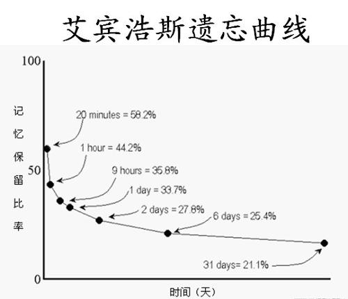記憶曲線