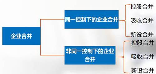 高級會計(jì)實(shí)務(wù)