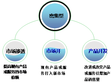 高級會計實(shí)務(wù)