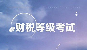 財(cái)稅等級考試