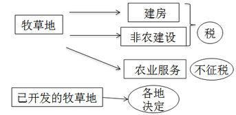 注冊會計師