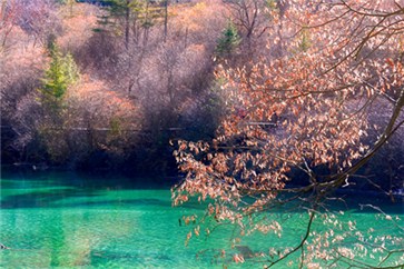 注冊(cè)會(huì)計(jì)師待遇怎么樣？就業(yè)前景如何？