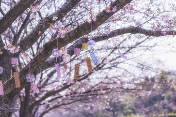 注冊(cè)會(huì)計(jì)師考試時(shí)間是什么時(shí)候
