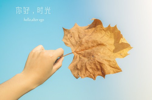 如何輕松記憶注冊會計師考試中的繁雜知識點？