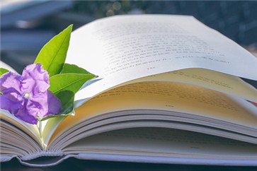 河南省注冊會計師考試時間？各類題型有什么答題技巧？