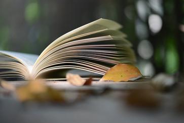 高級會計師《輕一》輔導書有什么用？