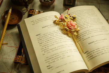 《中級經(jīng)濟法》沖刺階段學習計劃