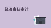 經(jīng)濟(jì)責(zé)任審計(jì)