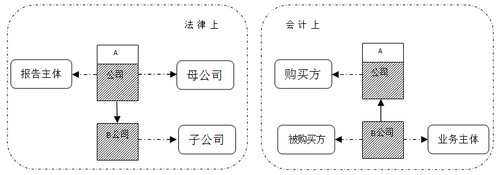 反向購買合并資產(chǎn)負(fù)債表2