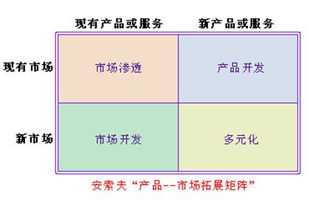 企業(yè)戰(zhàn)略與風(fēng)險(xiǎn)管理2