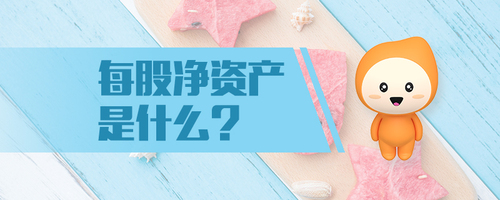 每股凈資產是什么