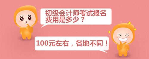 初級會計(jì)師考試報(bào)名費(fèi)用是多少