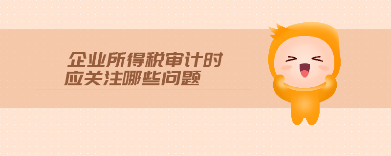 企業(yè)所得稅審計時應關(guān)注哪些問題