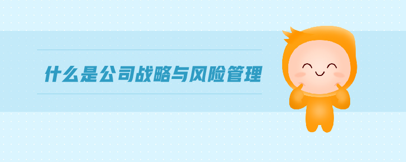 公司戰(zhàn)略與風(fēng)險(xiǎn)管理