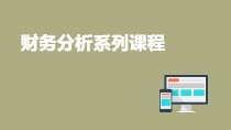 財(cái)務(wù)分析系列專題