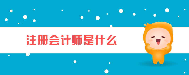 注冊(cè)會(huì)計(jì)師是什么