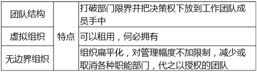 其他組織形式