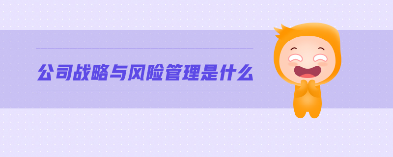 公司戰(zhàn)略與風(fēng)險(xiǎn)管理 公司戰(zhàn)略與風(fēng)險(xiǎn)管理