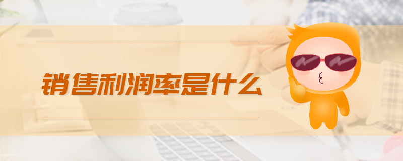 銷售利潤率是什么