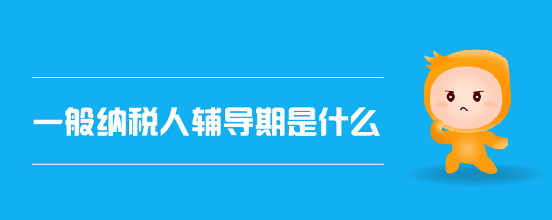 一般納稅人輔導(dǎo)期是什么