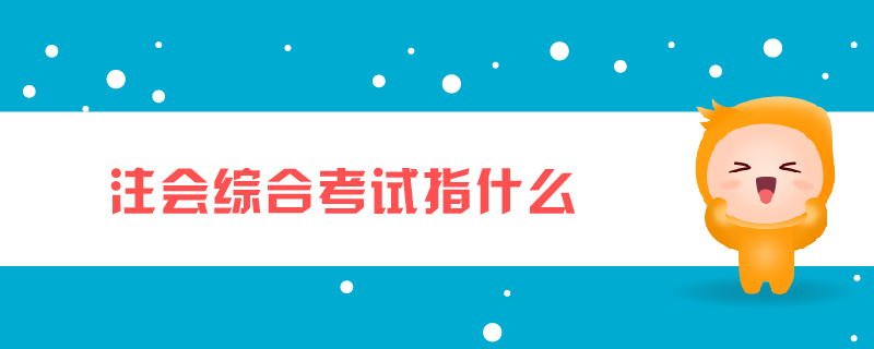 注會綜合考試指什么