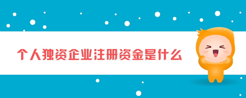 個人獨資企業(yè)注冊資金是什么