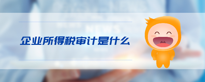 企業(yè)所得稅審計(jì)是什么