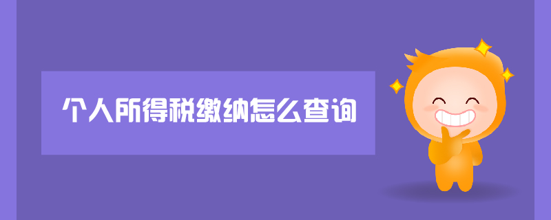 個(gè)人所得稅繳納怎么查詢