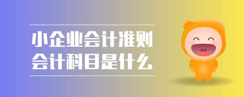 小企業(yè)會計準(zhǔn)則會計科目是什么