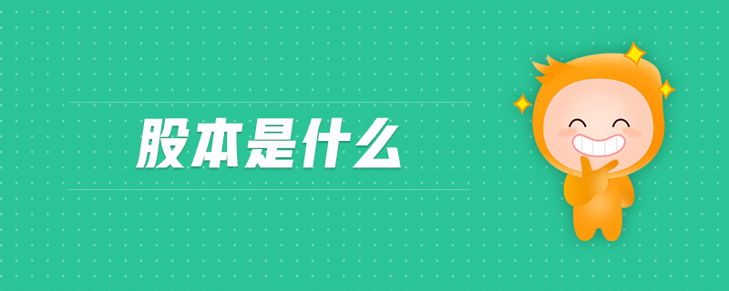 股本是什么