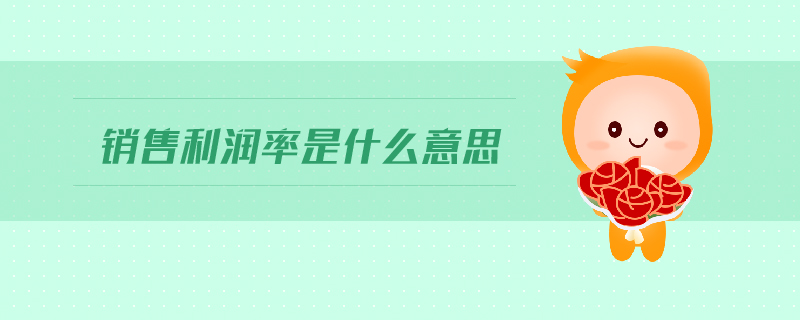 銷售利潤率是什么意思