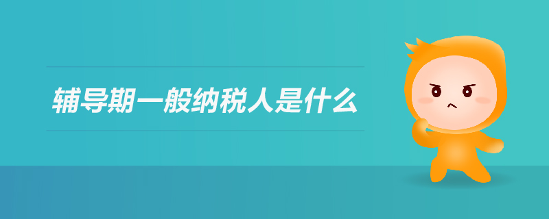 輔導(dǎo)期一般納稅人是什么