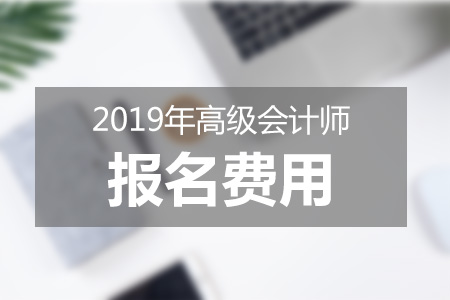 2019年高級會計(jì)師報(bào)名費(fèi)用