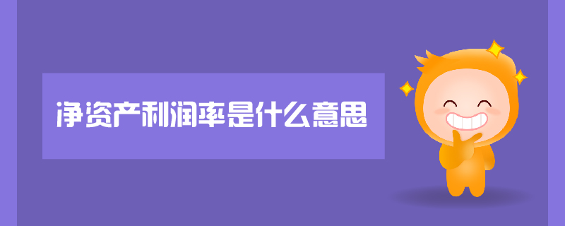 凈資產(chǎn)利潤率是什么意思