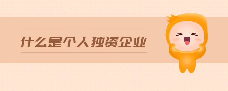 什么是個人獨資企業(yè)