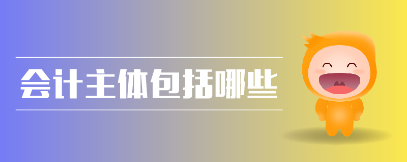 會(huì)計(jì)主體包括哪些