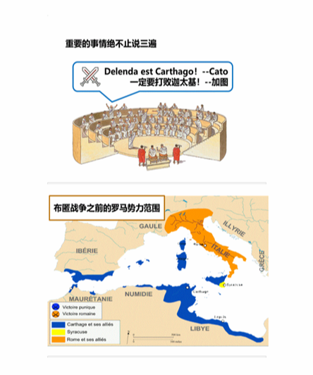 cpa稅法