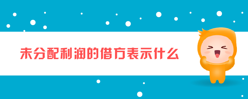 未分配利潤(rùn)的借方表示什么