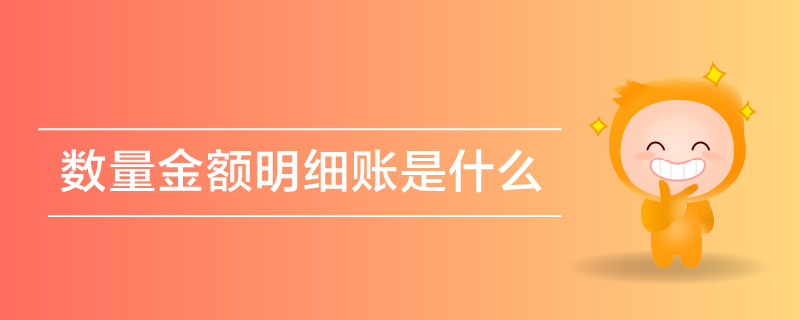 數(shù)量金額明細(xì)賬是什么