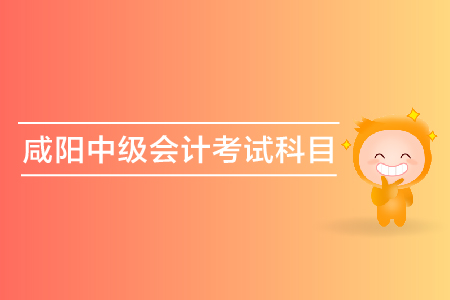 咸陽2019年中級會計考試科目都有什么？