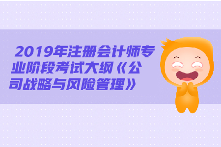 2019年注冊(cè)會(huì)計(jì)師《戰(zhàn)略》大綱變動(dòng)都有哪些？