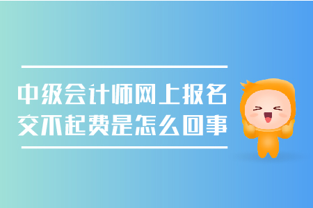 中級(jí)會(huì)計(jì)師網(wǎng)上報(bào)名交不上費(fèi)是怎么回事？