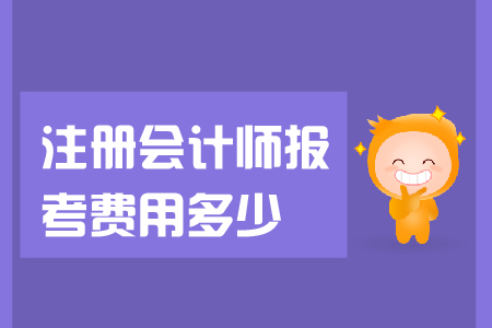 2019年注冊會計師報考費用多少錢？報名人數(shù)是多少？