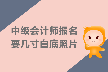 中級會計(jì)師報(bào)名要幾寸白底照片？