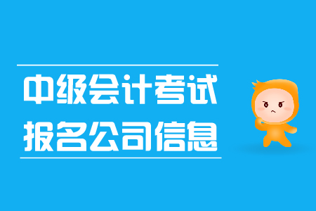 中級(jí)會(huì)計(jì)考試報(bào)名公司信息怎么填？