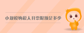 小規(guī)模納稅人開票限額是多少