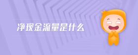 凈現(xiàn)金流量是什么