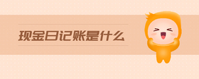 現(xiàn)金日記賬是什么